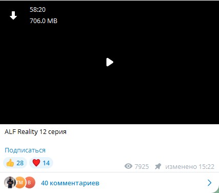 ALF REALITY 12 серия
