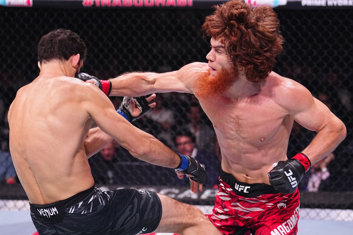 UFC 308 Результаты боев
