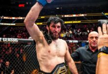 Магомед Анкалаев планирует вернуть пояс UFC в этом году
