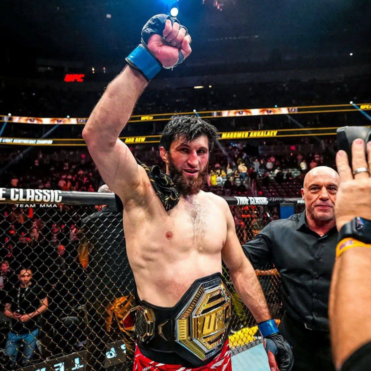 Магомед Анкалаев планирует вернуть пояс UFC в этом году